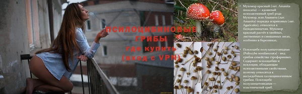 гашишное масло Дмитровск