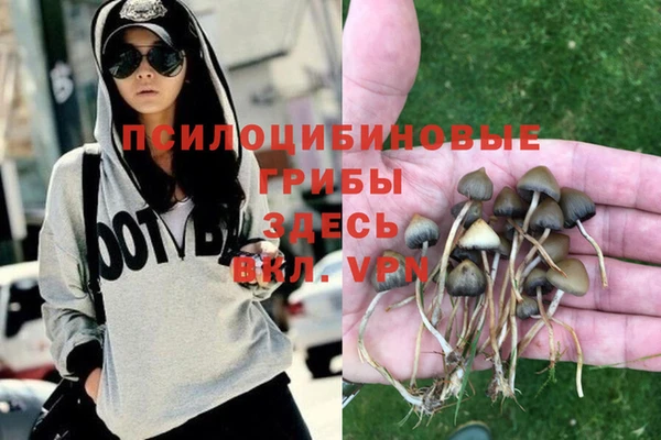 гашишное масло Дмитровск