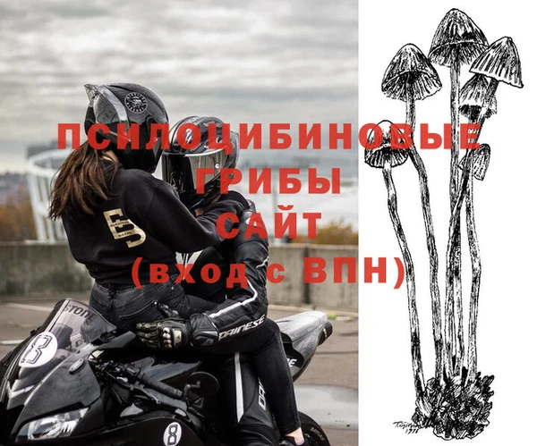 эйфоретик Дмитров