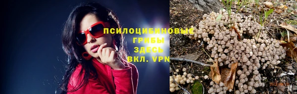 эйфоретик Дмитров